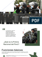 Fuerzas Policiales
