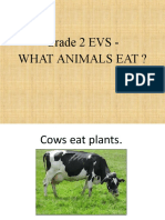 Grade 2 EVS What Animals Eat