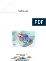 6nucleic Acids (INS)