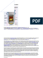 Nuclear Reactor Meltdown: The Three Mile Island Accident