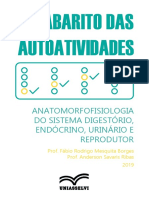 Gabarito Anatomomorfofisiologia