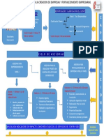 RUTA DE SERVICIOS CENTRO SBDC