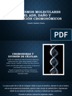 Mecanismos Moleculares Del ADN, Daño y Reparación Cromosómicos