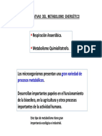 Clase 2 - Resp. Anaerobia - Quimiolitotrofía - 2016