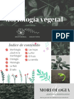 Morfología vegetal: órganos y estructuras clave