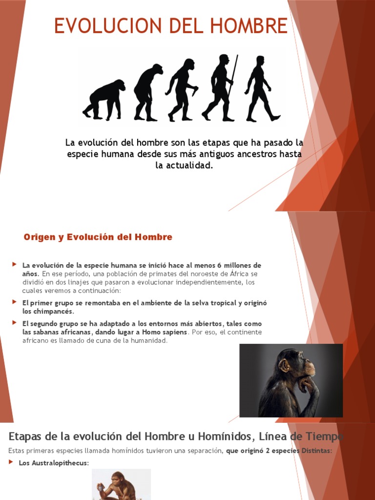 Evolucion Del Hombre | PDF | Evolución humana | Homo