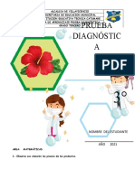 Evaluacion Diagnostica Matematicas