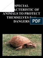 SPECIAL CHARACTERISTIC OF ANIMALS TO PROTECT THEMSELVES FOR