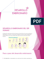 Desarollo Embrionario