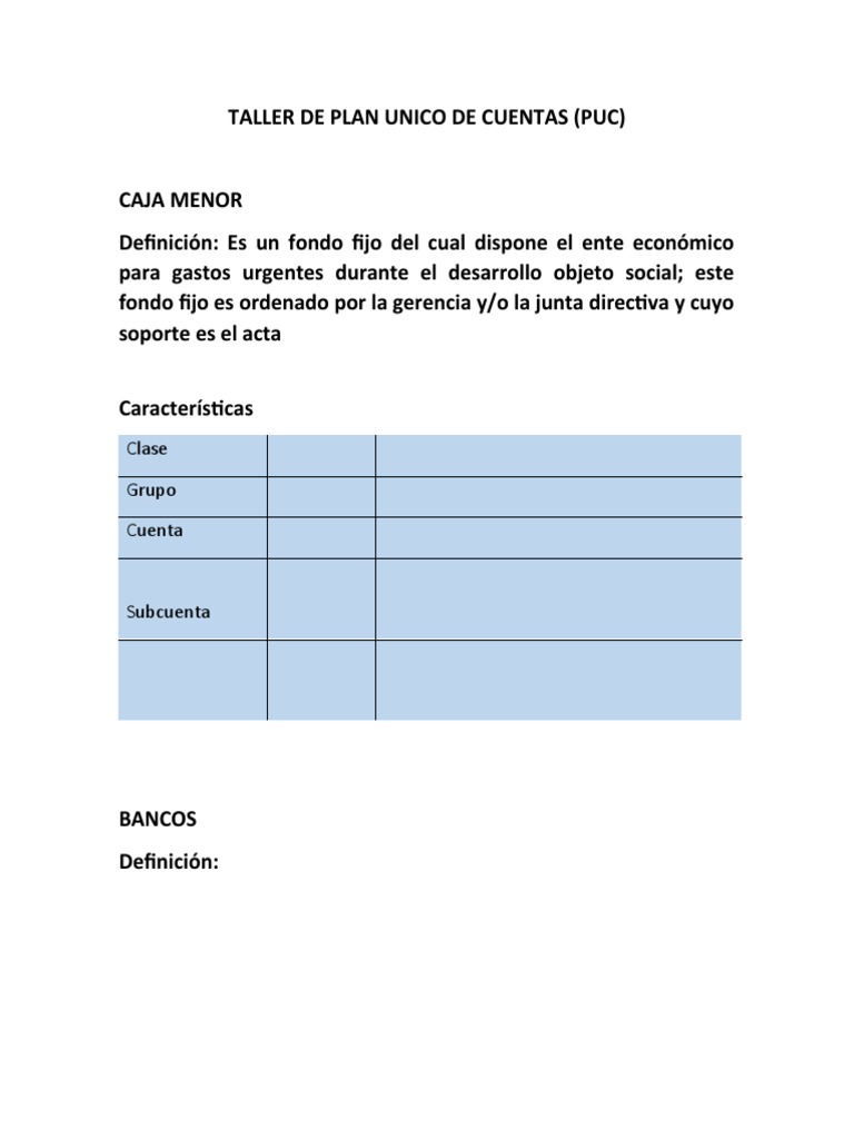 Taller de Plan Unico de Cuentas | PDF