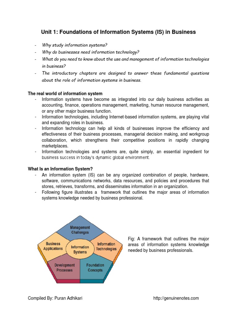 Foundations of Information Systems in Business | PDF | Information ...