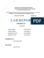 Cre Lab Report s2