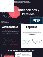 aminoacidos peptidos