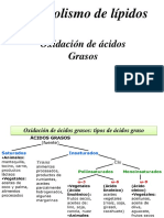 Metabolismo de Lípidos