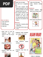 Leaflet Asam Urat