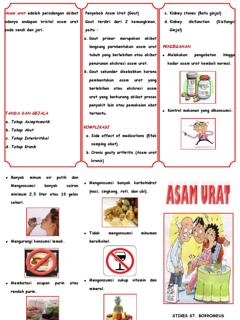 Asam Urat 12