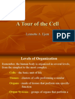 Tour of The Cell