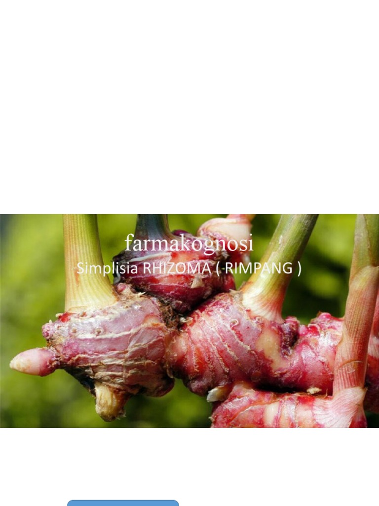 Jenis-jenis Rhizoma dan Manfaatnya | PDF | Memasak, Makanan, & Anggur ...