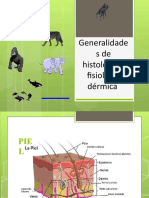 Fisiologia de La Piel