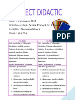proiect_didactic1