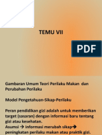 PG Temu 7