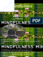Presentation Mindfullness