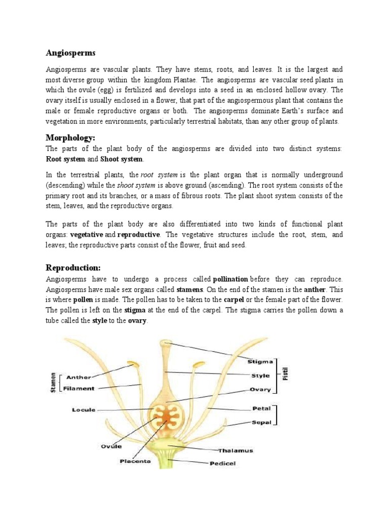 Angiosperm Reproduction Guide | PDF | Fertilisation | Plant Reproduction