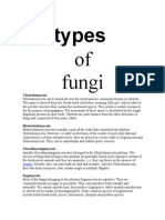 Types of Fungi