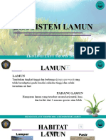 Ekosistem Lamun