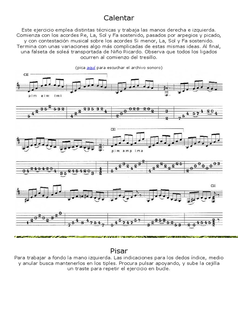 Ejercicios de Guitarra para Principiantes | PDF | Escala (música) | Ritmo