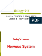 Biology 946: Unit 9 - Control & Regulation Section 1 - Nervous System