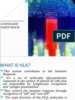 Hla Tissue Typing