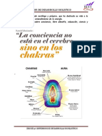 Consciencia y Chakras ESDH