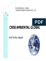 Aula 3 - Crise Ambiental Global