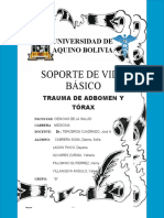 Soporte Basico