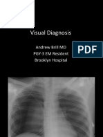 visual diagnosis 