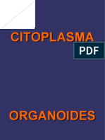 CITOPLASMA-ORGANOIDES