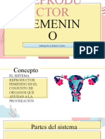 Sistema Reproductor Femenino Campoalto