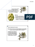 Complemento Sistema Nervoso