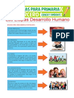 Las Etapas Desarrollo Humano Para Tercero de Primaria