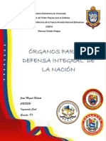 Organos para La Defensa Integral de La Nacion