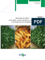 Doc-251 - Embrapa - Semillas Maiz Brasil 2020