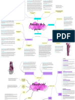 Draw - In-Mapa Mental 12