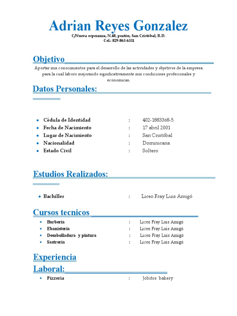 Perfil Profesional de Adrian Reyes | PDF