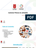 Presentación Lesiones Físicas en Animales VETERINARIA