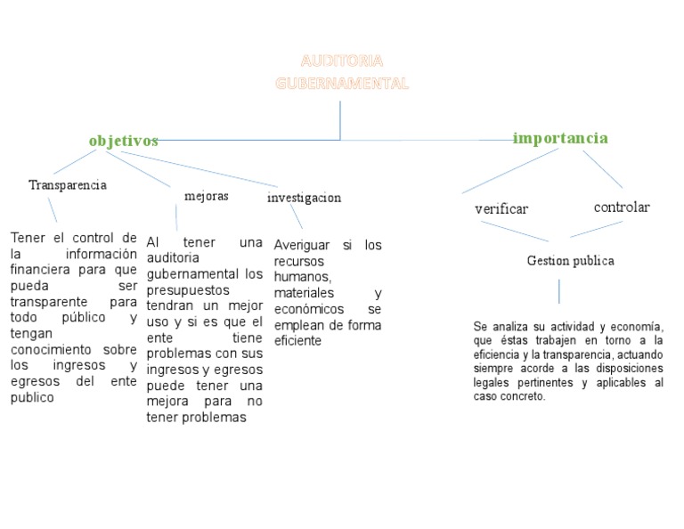 Mapa Conceptual de La Importacia y Objetivos de La Auditoria ...