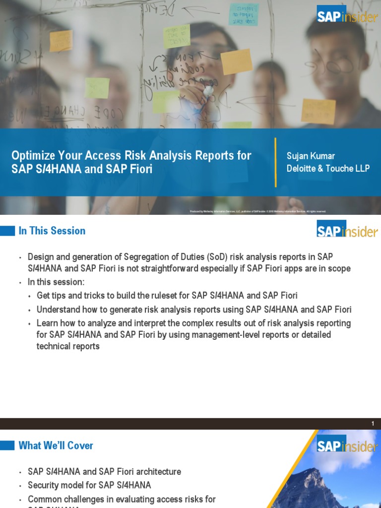 Optimize Your Access Risk Analysis Reports For SAP S/4HANA and SAP ...