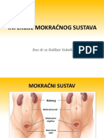 Infekcije Mokraćnog Sustava: Doc DR SC Dalibor Vukelić
