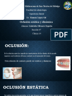 Oclusion Estatica y Dinamica