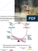 01 Lab Homeostasis